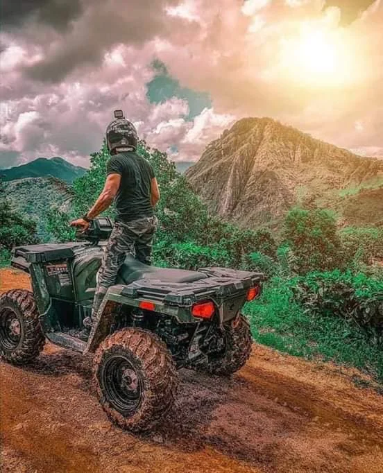 Sri Lankan wildlife safari