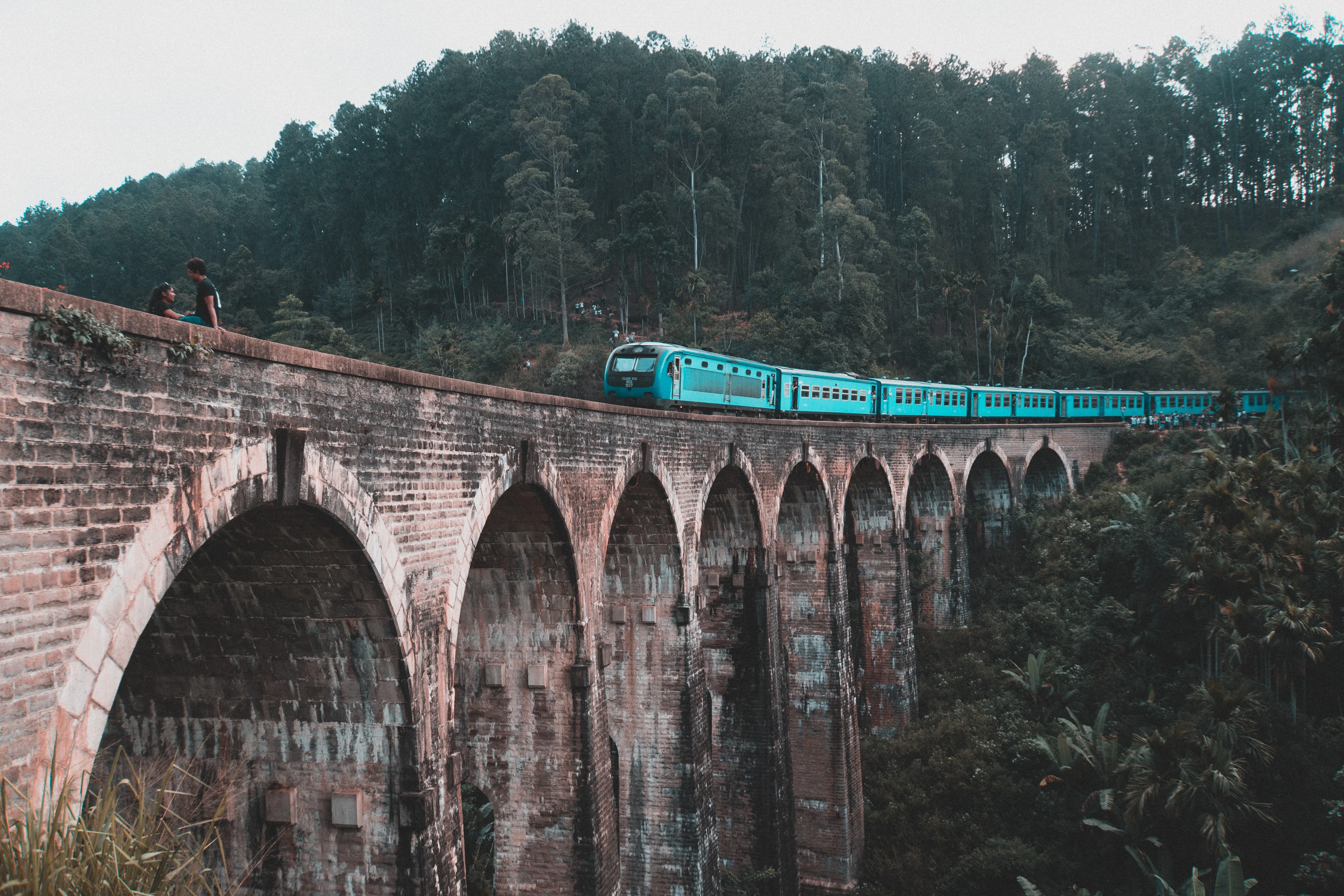 Sri Lanka jungle and heritage landscape