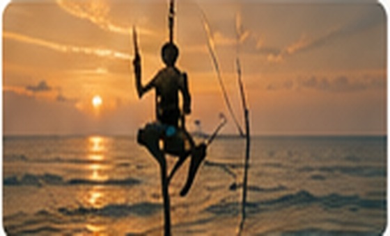 Traditional Sri Lankan stilt fisherman at sunset
